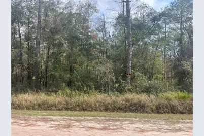 10530 Gregory Ave, Hastings, FL 32145 - Photo 1