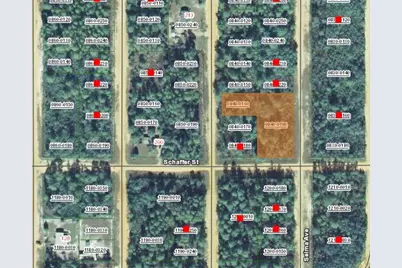 000 Selma Avenue, Interlachen, FL 32148 - Photo 1