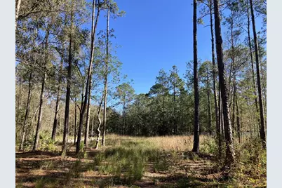 10050 Ebert Avenue, Hastings, FL 32145 - Photo 1