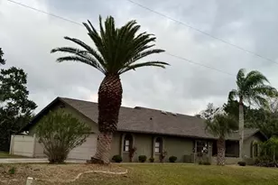 11 Crossview Ln, Palm Coast, FL 32137 - Photo 1