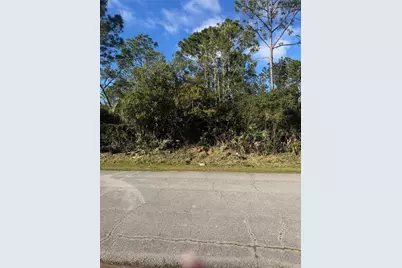 50 Wheeling Lane, Palm Coast, FL 32164 - Photo 1