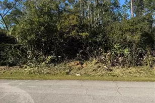 50 Wheeling Ln, Palm Coast, FL 32164 - Photo 1