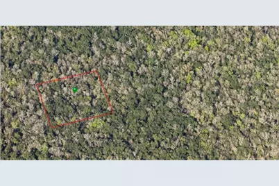 000 Reed Grove Road, Oak Hill, FL 32759 - Photo 1