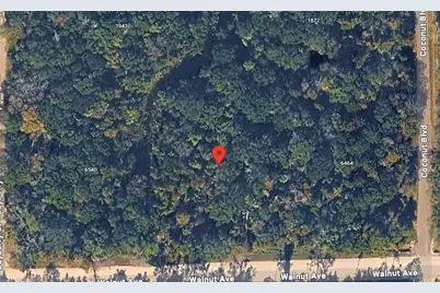 6502 Walnut Avenue, Bunnell, FL 32110 - Photo 1