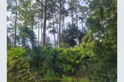 10040 Light Avenue, Hastings, FL 32145 - Photo 1