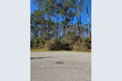 6 Uturn Court, Palm Coast, FL 32164 - Photo 1