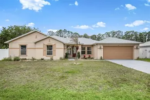 45 Reidsville Dr, Palm Coast, FL 32164 - Photo 1