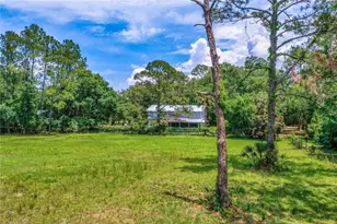 Xxx Old Haw Creek Rd, Bunnell, FL 32110 - Photo 1