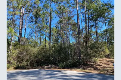 17 Zorlou Court, Palm Coast, FL 32164 - Photo 1