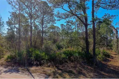 33150 Forest Ridge Road, Deland, FL 32720 - Photo 1