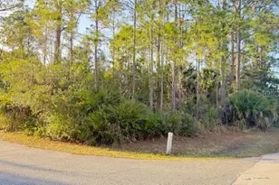 102 Randolph Dr, Palm Coast, FL 32164 - Photo 1