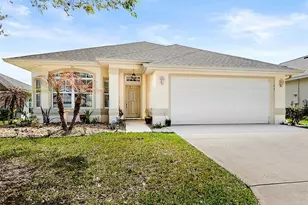 69 Raintree Cir, Palm Coast, FL 32164 - Photo 1