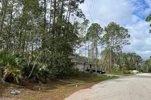 14 Reybury Ln, Palm Coast, FL 32164 - Photo 1
