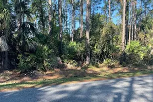 69 Lindsay Dr, Palm Coast, FL 32137 - Photo 1