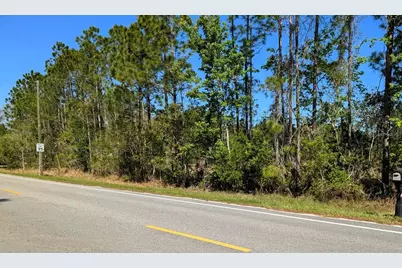 4914 Mahogany Boulevard, Bunnell, FL 32110 - Photo 1