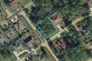 1 Burning View Ln, Palm Coast, FL 32137 - Photo 1