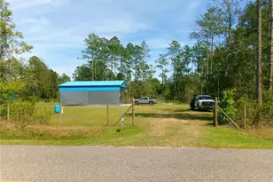 10220 Crotty Ave, Hastings, FL 32145 - Photo 1
