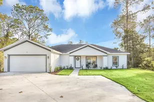 56 White Feather Ln, Palm Coast, FL 32164 - Photo 1
