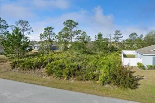 10 Rocking Ln, Palm Coast, FL 32164 - Photo 1