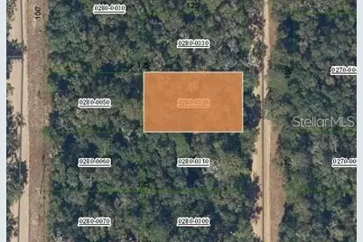 Brett Ave, Interlachen, FL 32148 - Photo 1
