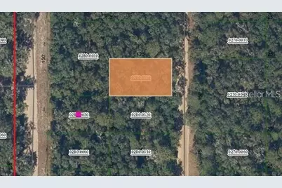 Brett Avenue, Interlachen, FL 32148 - Photo 1