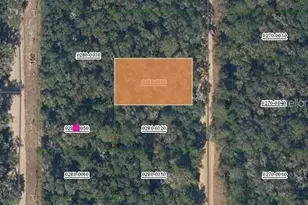 Brett Ave, Interlachen, FL 32148 - Photo 1