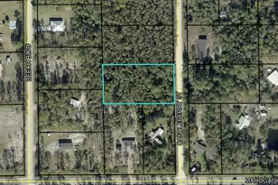 1402 Candleberry St, Bunnell, FL 32110 - Photo 1
