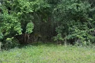 190 Catherine St, Bunnell, FL 32110 - Photo 1
