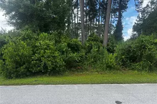 24 Bannerwood Ln, Palm Coast, FL 32137 - Photo 1