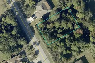 176 Bird of Paradise Dr, Palm Coast, FL 32137 - Photo 1