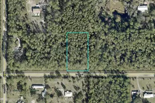 Theresa St, Hastings, FL 32145 - Photo 1