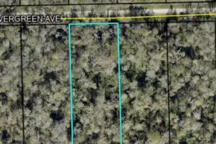 3655 Evergreen Ave, Bunnell, FL 32110 - Photo 1