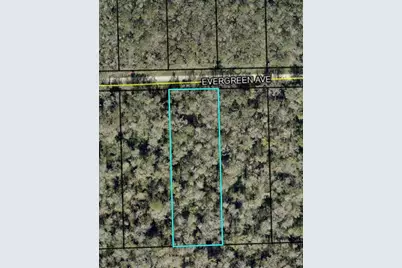 3599 Evergreen Avenue, Bunnell, FL 32110 - Photo 1
