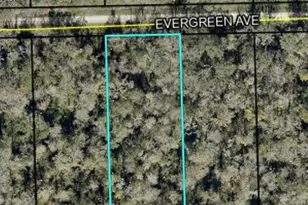 3599 Evergreen Ave, Bunnell, FL 32110 - Photo 1