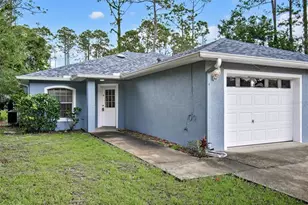 63 Wellwater Dr, Palm Coast, FL 32164 - Photo 1