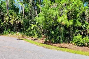 6 Rybar Pl, Palm Coast, FL 32164 - Photo 1