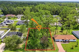 13 Ryall Ln, Palm Coast, FL 32164 - Photo 1