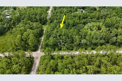 5446 Mango Avenue, Bunnell, FL 32110 - Photo 1