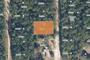 105 Desoto St, Florahome, FL 32140 - Photo 1