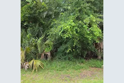 19 Wasserman Drive, Palm Coast, FL 32164 - Photo 1