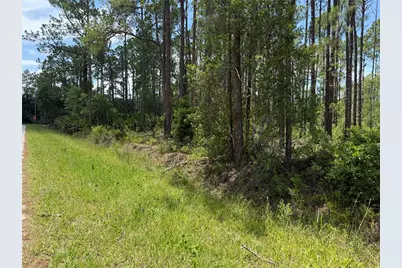 2914 Avocado Boulevard, Bunnell, FL 32110 - Photo 1