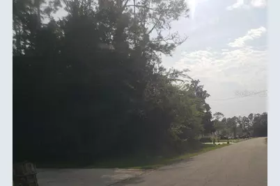 74 Randolph Drive, Palm Coast, FL 32164 - Photo 1