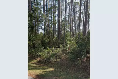 21 Erickson Place, Palm Coast, FL 32164 - Photo 1