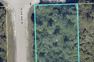 3117 51st St W, Lehigh Acres, FL 33971 - Photo 1