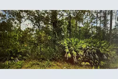 [Address not provided], Lehigh Acres, FL 33972 - Photo 1