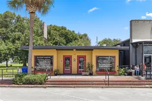 113 E Main St, Tavares, FL 32778 - Photo 1