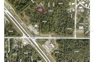 Lots 31 & 32 Us-441, Mount Dora, FL 32757 - Photo 1