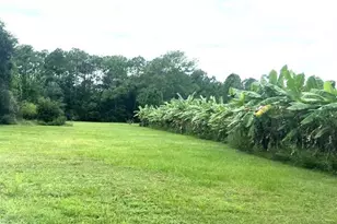 [Address not provided], Groveland, FL 34736 - Photo 1