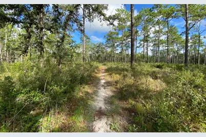 0 Dempsey Road, Brooksville, FL 34601 - Photo 1