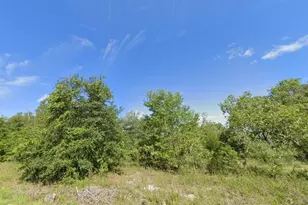 000 Guava Ln Course, Ocklawaha, FL 32179 - Photo 1